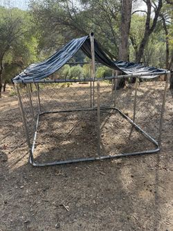 Large Outdoor Dog Kennel with Roof Cover