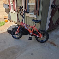 Kids 12" Schwinn Grit Bike.