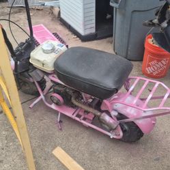 Mini Bike