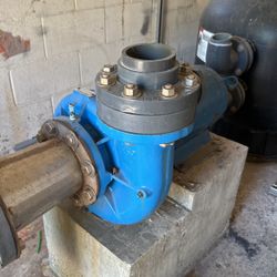 Pool Pump And Motor
