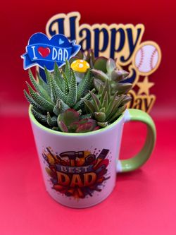 Succulent Arrangement