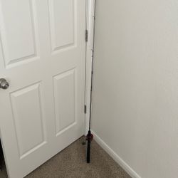 Zebco Fishing rod