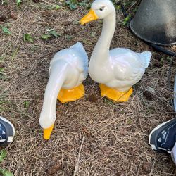 Ceramic Duck Decorations