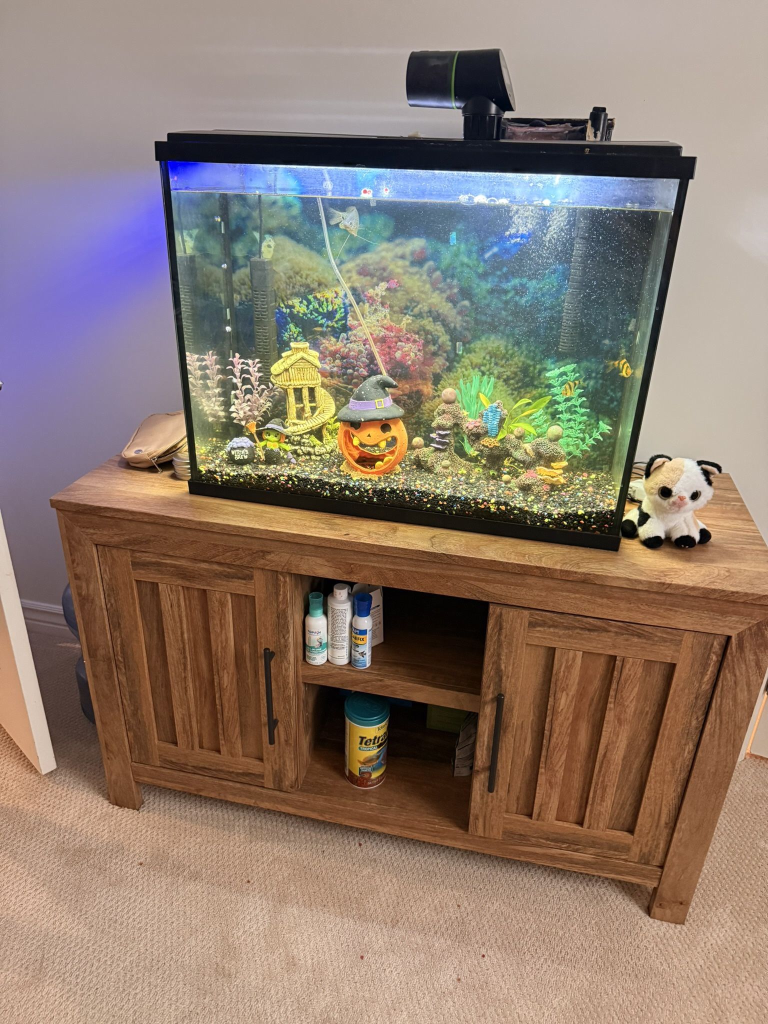 37 Gallon Fish Tank Stand And All Supplies
