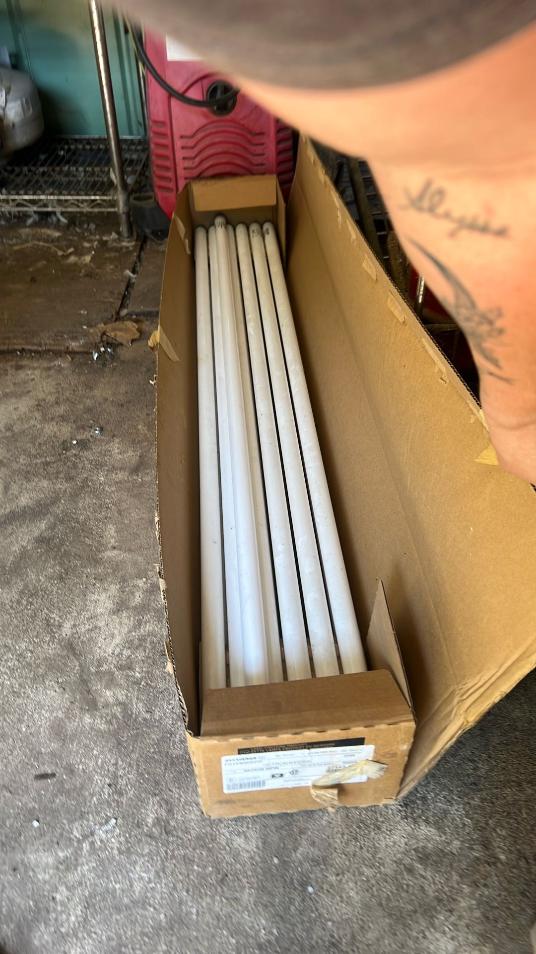 Fluorescent Lights