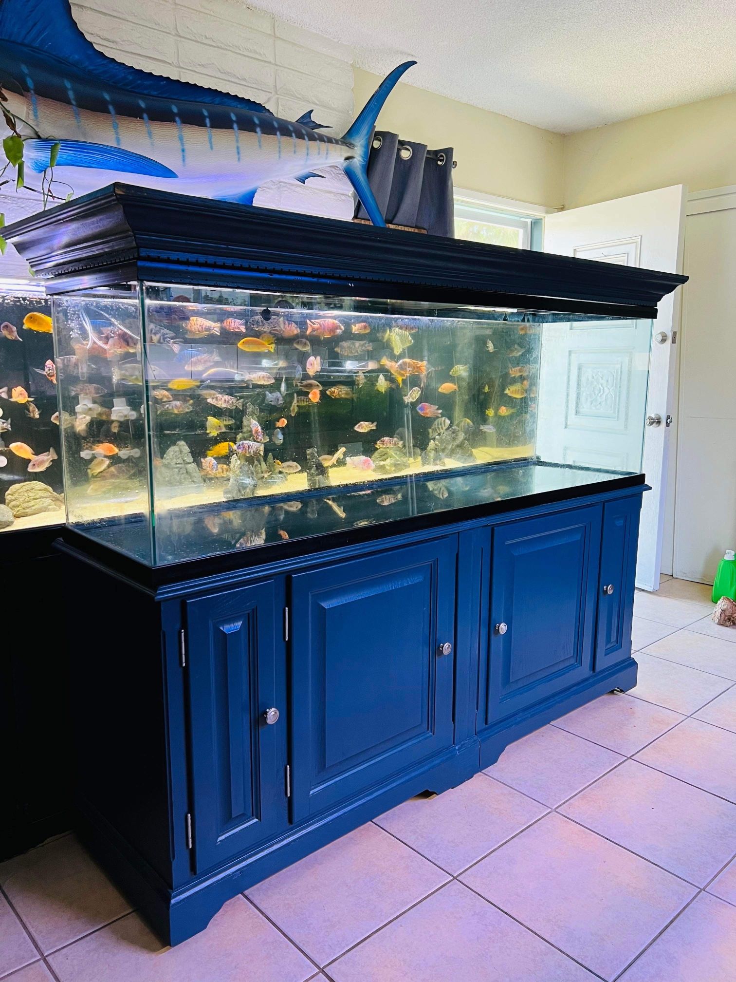 Fish Tank Aquarium 135 Gallon for Sale in Anaheim, CA OfferUp