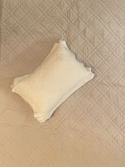 Pottery Barn Kids Pillow & Comforter Set