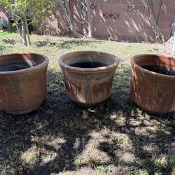Plant Pots