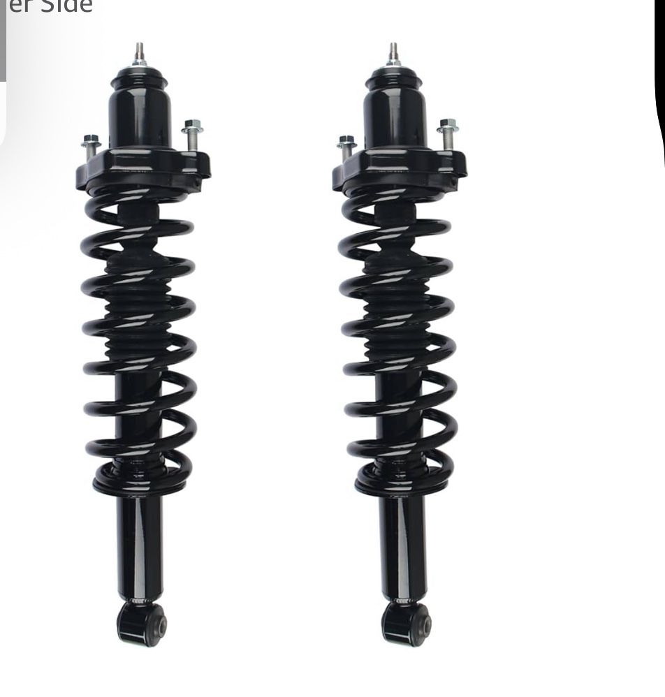Rear Struts