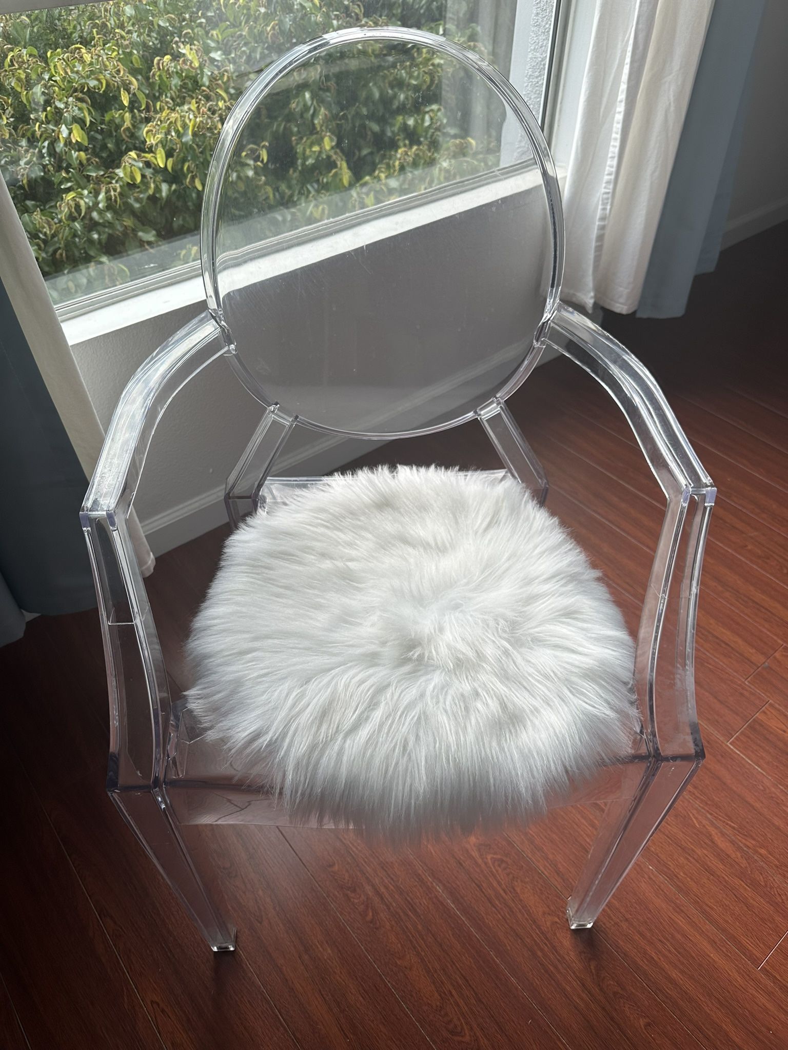 Trendy Transparent Chair $45