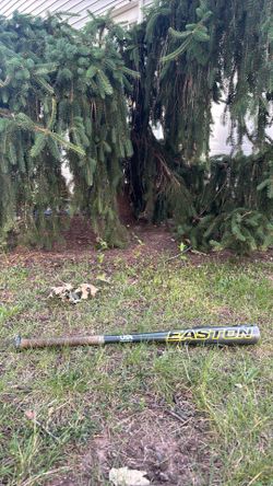Easton Havoc USA Baseball Bat