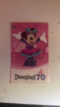 1 day park hopper