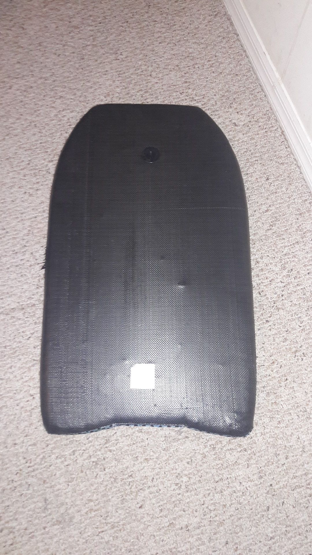 Big lizard Boogie board