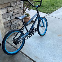 16 in. BMX Bike
