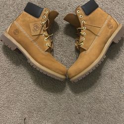 Brand  New Timberland boots