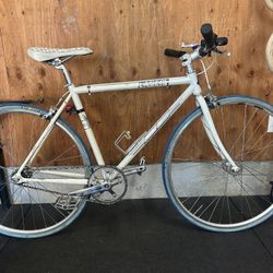 Single Speed Commuter 49cm 