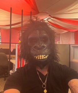 Adult gorilla costume