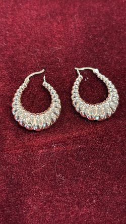 10k Shrimp Earrings 2.37 grams