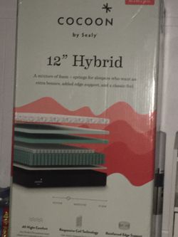 Sealy Cocoon Queen 12” In A Box