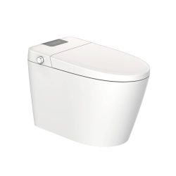 Modern innovative intelligent toilet, built-in bidet, automatic switch intelligent toilet