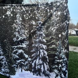 Professional Commercial Photography Set Backdrop Holder With Lights