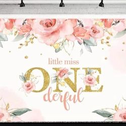 First Birthday Party Decorations 