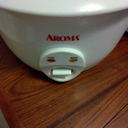 Rice Steamer 