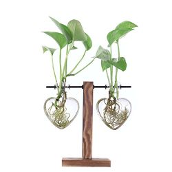 Hearts Glass Planter Terrarium Plant Propagation Station Heart Shape Vase for Hydroponic Water Plants