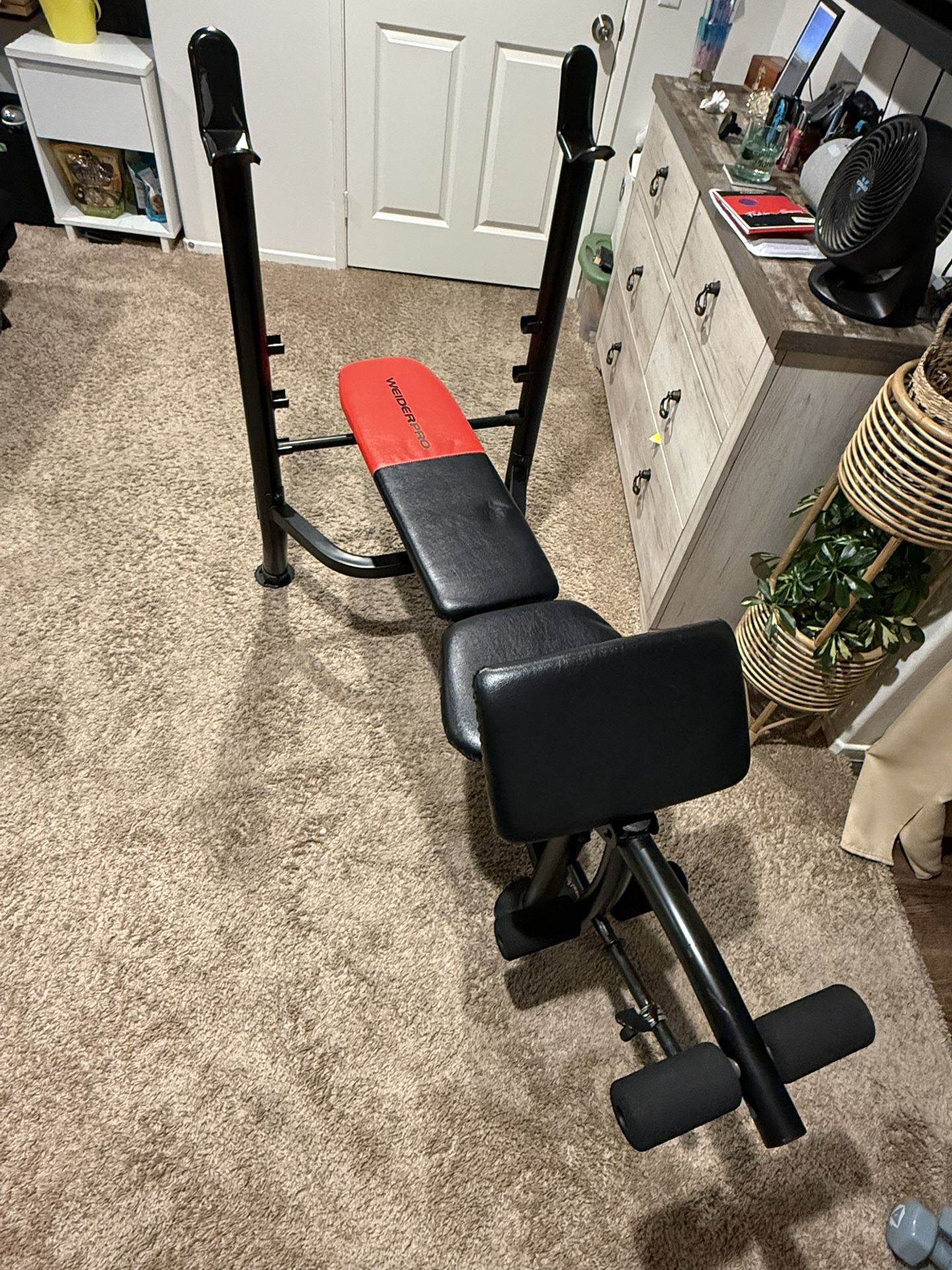 Exercise Bench