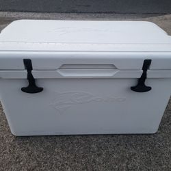 Coho Bear Certified Cooler