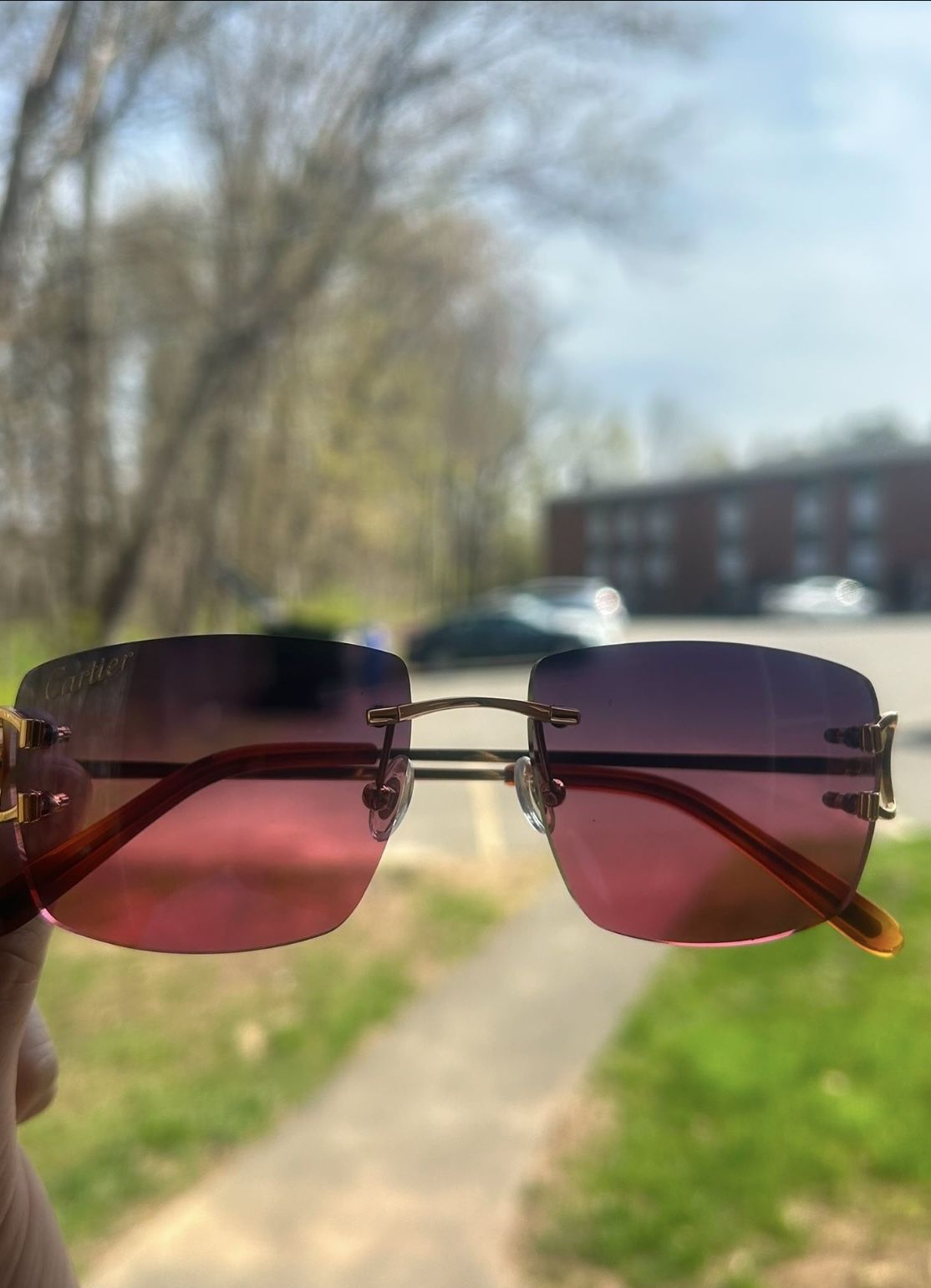 Cartier Glasses