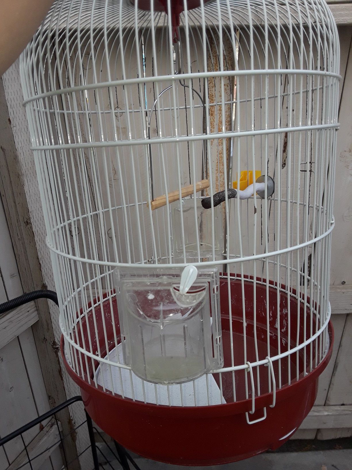Bird cage $20