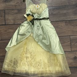 3 Disney Princess Costumes- Tiana, Elsa, And Sleeping Beauty