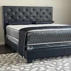 King $389//Queen $299//Full $289