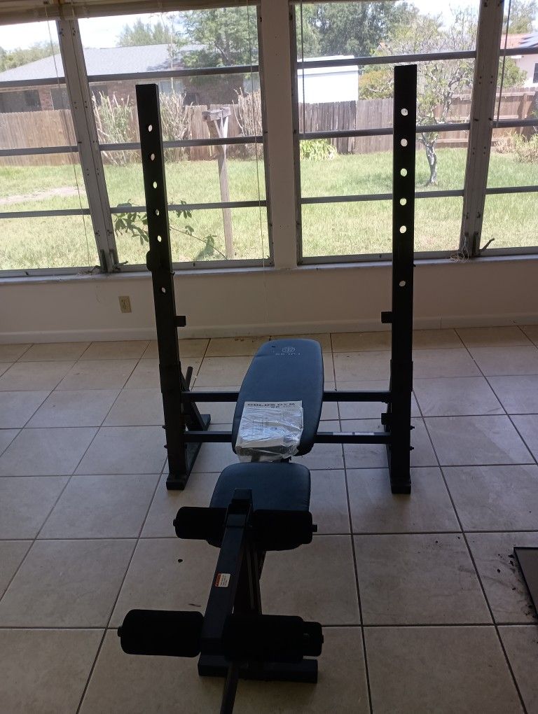Golds Gym XR 10.1