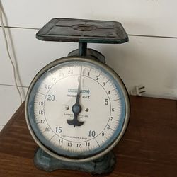 Antique Blue Universal Household Kitchen Scale Landers Frary & Clark