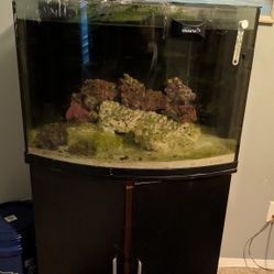 Custom 36 Gallon Bow Front