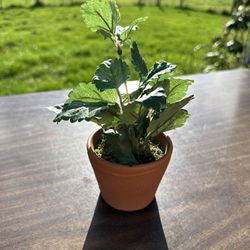 Fake Plant Small