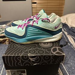 KD 16 Nike Skills Academy PE Size 10.5