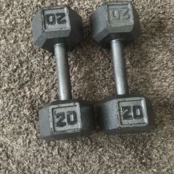 Pair Of 20 Pound Dumbbells