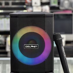 2400W Portable Bluetooth Speaker w/ wireless mic