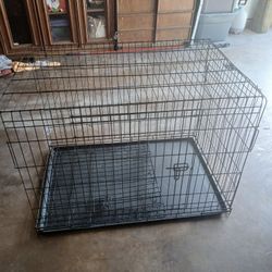 Dog Cage