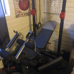 Weider Weight Bench + 100lbs Weights, Slam Ball, Barbell – Full Set!