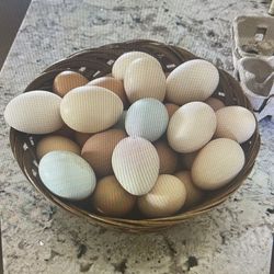 Fresh Eggs Available 