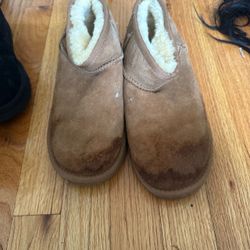 Chestnut uggs
