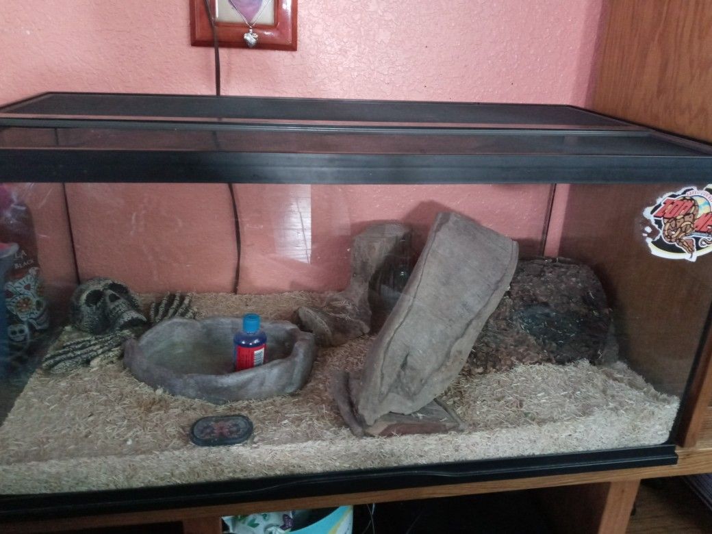 Reptile Tank 