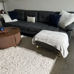 Gray Couch 