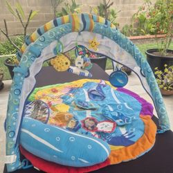 Baby Einstein Discovering Water Activity Gym