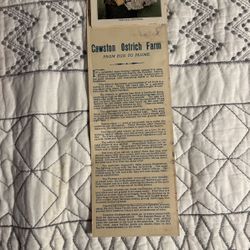 Postcards of Cawston Ostrich Farm 