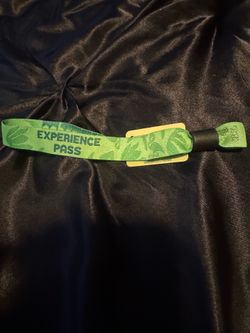 Day trip ticket